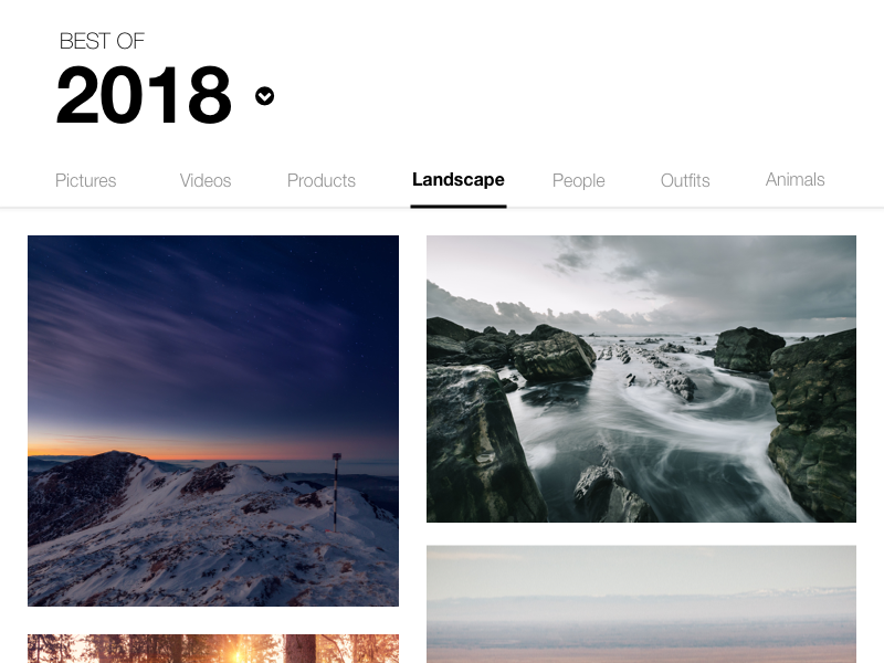 Website that features best images of 2018 under separate 
                                    categories and year